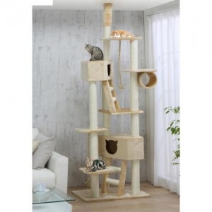 Happy cats on a spacious and sturdy, well made tree!